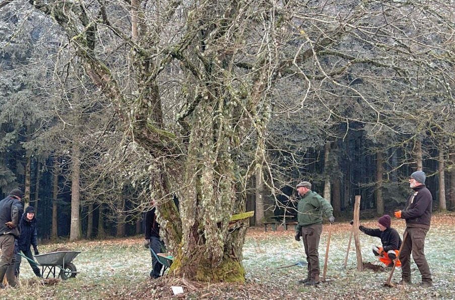 Arboretum du Col du Las , , France